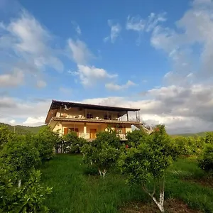 vila-berat.albaniahotels.org/